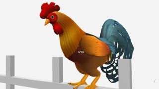 Cock A Doodle Doo  3D Animation English Nursery rhyme for children with lyrics [upl. by Bartram]