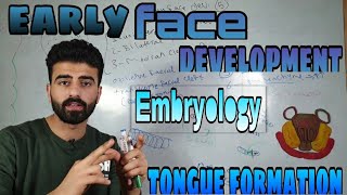 embryology 3  face and tongue development  oral histology  عزت شومان [upl. by Kcirej]