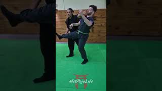 McDojo Short Behind the back Bullshido ninja kick catches [upl. by Ymled]