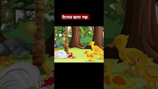 এতিম হাঁসের ছানাthakumer jhulisiyaler golpoBangla cartoonRupkother golpo foryou chandpori [upl. by Lorolla]