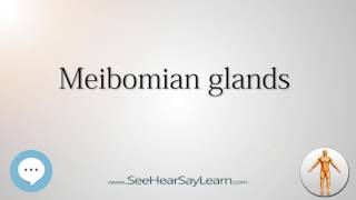 Meibomian glands Anatomy Named After People 🔊 [upl. by Dumas]