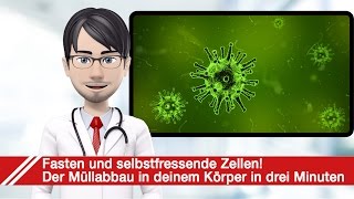 Beim Fasten fressen sich deine Zellen selber auf [upl. by Thorma]