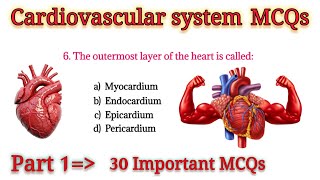 Cardiovascular System MCQs  Cardiovascular System important mcqs  Part 1 [upl. by Shultz]