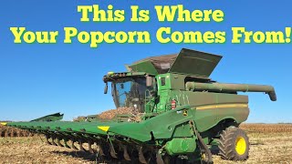 Problems With Popcorn Harvest [upl. by Arihaj928]