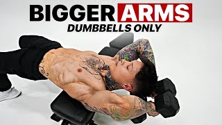 Bigger Arms Workout Using Only Dumbbells [upl. by Marwin]