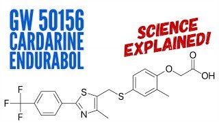 Science Behind GW 50156  Cardarine  Endurabol  Facts  What is GW 50156  Metabolic Drugs [upl. by Nimzay565]