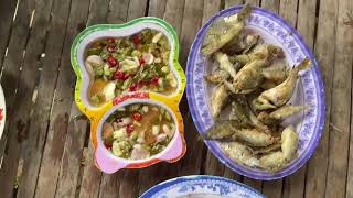 SIMPLE BUT APPETIZING RURAL CUISINE RURAL FOOD [upl. by Ecirtal]