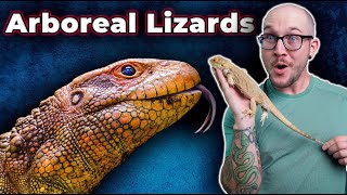 The Top 5 BEST Arboreal Lizards That You HAVE NEVER HEARD OF [upl. by Stewart897]