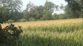 Steam Engine Train heading back to Bellevue Ohio [upl. by Itsrik]