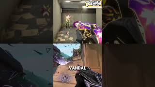 Vandal or Phantom Valorant pro tips l GG DAILY [upl. by Doty]