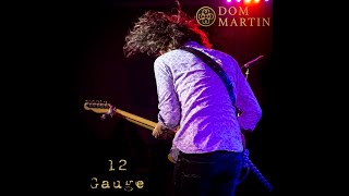 Dom Martin 12 Gauge [upl. by Guillema14]