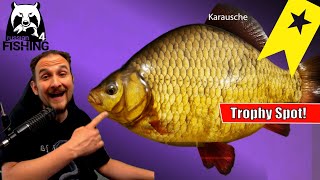 Russian Fishing 4  Moskito See  Trophy Spot Giebel und Karausche [upl. by Araem]