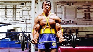 ARNOLD SCHWARZENEGGER ARMS WORKOUT [upl. by Mckay]