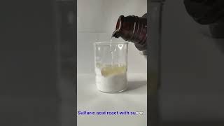 Sulfuric acid reacts with sugar h2so4 experiment chemical reaction goviral laboratory fyp [upl. by Mavis]