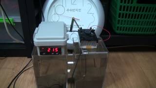 DIY Peltier Water Cooler Test [upl. by Sitoiganap666]