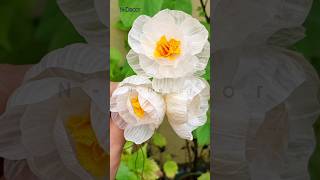 রসুনের খোসার ফুল 2 ndecor diy garlicpeeling diyflower NDecor [upl. by Ahsein338]