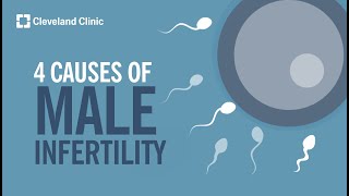 4 Causes of Male Infertility [upl. by Amaral518]