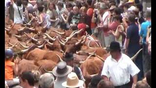 TRANSHUMANCE FESTIVAL ALLANCHE THE AUVERGNE [upl. by Caton]