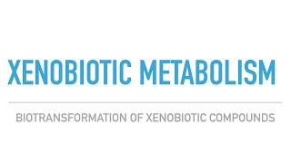 Xenobiotic MetabolismCYP450 Enzyme MechanismDetoxification in the Liver [upl. by Assirec544]