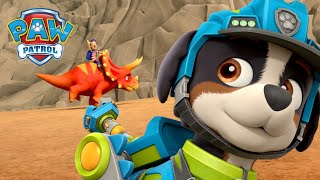 Dino Rescue Pups save the Turbots from a Triceratops  PAW Patrol  Cartoons for Kids Compilation [upl. by Nrehtac33]