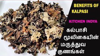 kalpasi benefits  கல்பாசி மூலிகையின் மருத்துவ குணங்கள்  health benefits of Parmotrema perlatum [upl. by Notnroht]