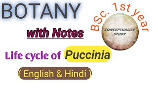 Life cycle of Puccinia graminis  BSc first year conceptualizestudy [upl. by Meador]