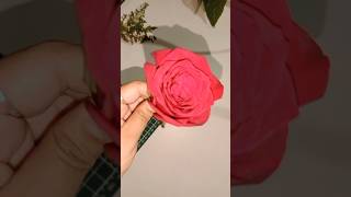 How to preserve flowers 🌹 with silica gel sand silicagel dryflowers diy shortscrafterdev assam [upl. by Avery930]