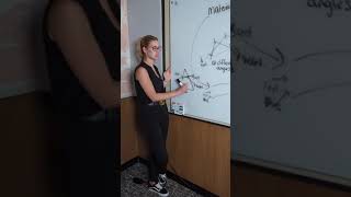 ALevel Physics  Modal vs Material dispersion [upl. by Murray755]