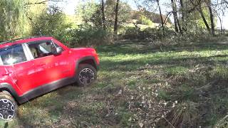 Jeep Renegade Trailhawk offroad Ramallee hoch Bremstest [upl. by Kemp671]