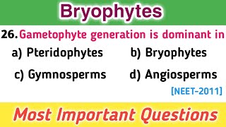 MCQs on Bryophytes  Plant Kingdom mcqs  Botany MCQs [upl. by Natasha]