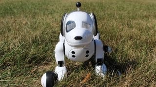 Zoomer The Interactive Robotic Dog Review [upl. by Goraud]