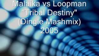 Malaika vs Loopman  Tribal Destiny Dingle Mashmix 2005 [upl. by Arraet]