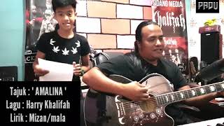 Lagu baru utk MIZAN ciptaan HARRY KHALIFAH yg berjudul quot AMALINA quot [upl. by Karli866]