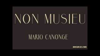 Mario CANONGE Non musieu [upl. by Ytisahc]