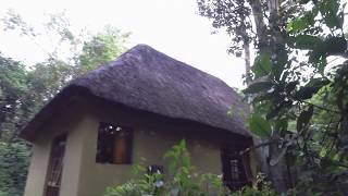 Primate Lodge Kibale National Park Uganda [upl. by Jessen]