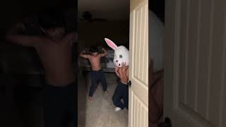 Easter bunny prank [upl. by Kobylak]