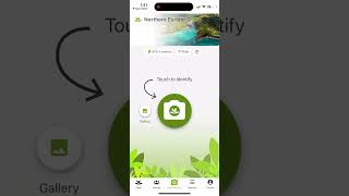 PlantNet app  how to use [upl. by Naerb566]