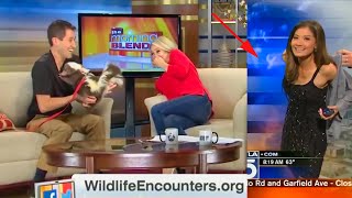 Funniest TV News Bloopers of 2021 [upl. by Bina]