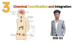 Chemical Coordination and Integration for Class 11th and NEET  Lecture 3 [upl. by Alessandro]