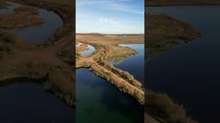 RSPB St Aidan Leeds [upl. by Acinnej114]