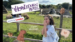 🇬🇧 Why You Need to Visit HOBBLEDOWN HEATH 🇬🇧  🐾 Animal Park Adventure 🐾 [upl. by Avin]