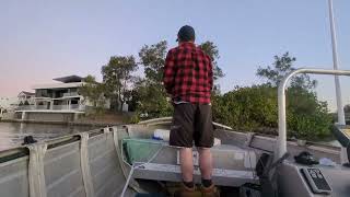 Quick fish in Nerang river Gold Coast [upl. by Anaul419]