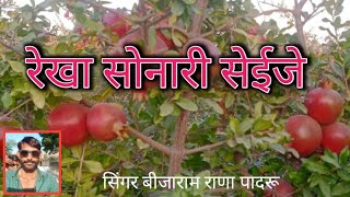 रेका सोनारी सेईजे सिंगर  बीजाराम राणा पादरू SBR studio padru geeta Goswami new song [upl. by Ocramed939]