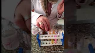 Enzymes Experiment Amylase Iipase Pepsin and Trypsin [upl. by Nnylarac196]