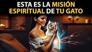 MISIÓN ESPIRITUAL Del GATO Protector ESPIRITUAL de tu HOGAR [upl. by Hsirahc]