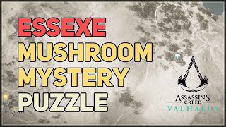 Essexe Mushroom Mystery Hallucination Challenge Fly Agaric AC Valhalla [upl. by Nosemyaj]