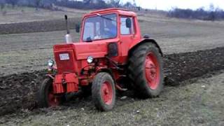 MTZ80 plowing [upl. by Pol794]