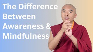 The Difference between Awareness and Mindfulness with Yongey Mingyur Rinpoche [upl. by Eimmat926]