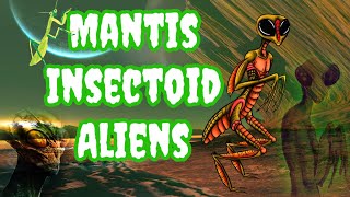 The Mantis Insectoid Extraterrestrial Species Who Are These Bug Like ETs mantis bugs alien bug [upl. by Kirima]