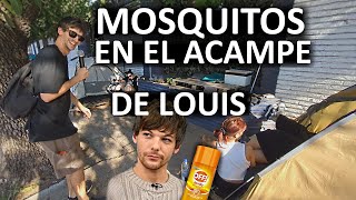 Mosquitos con LOUIS TOMLINSON y ELVIS de Villa Crespo 💥RANDOM 17💥 [upl. by Eissahc]